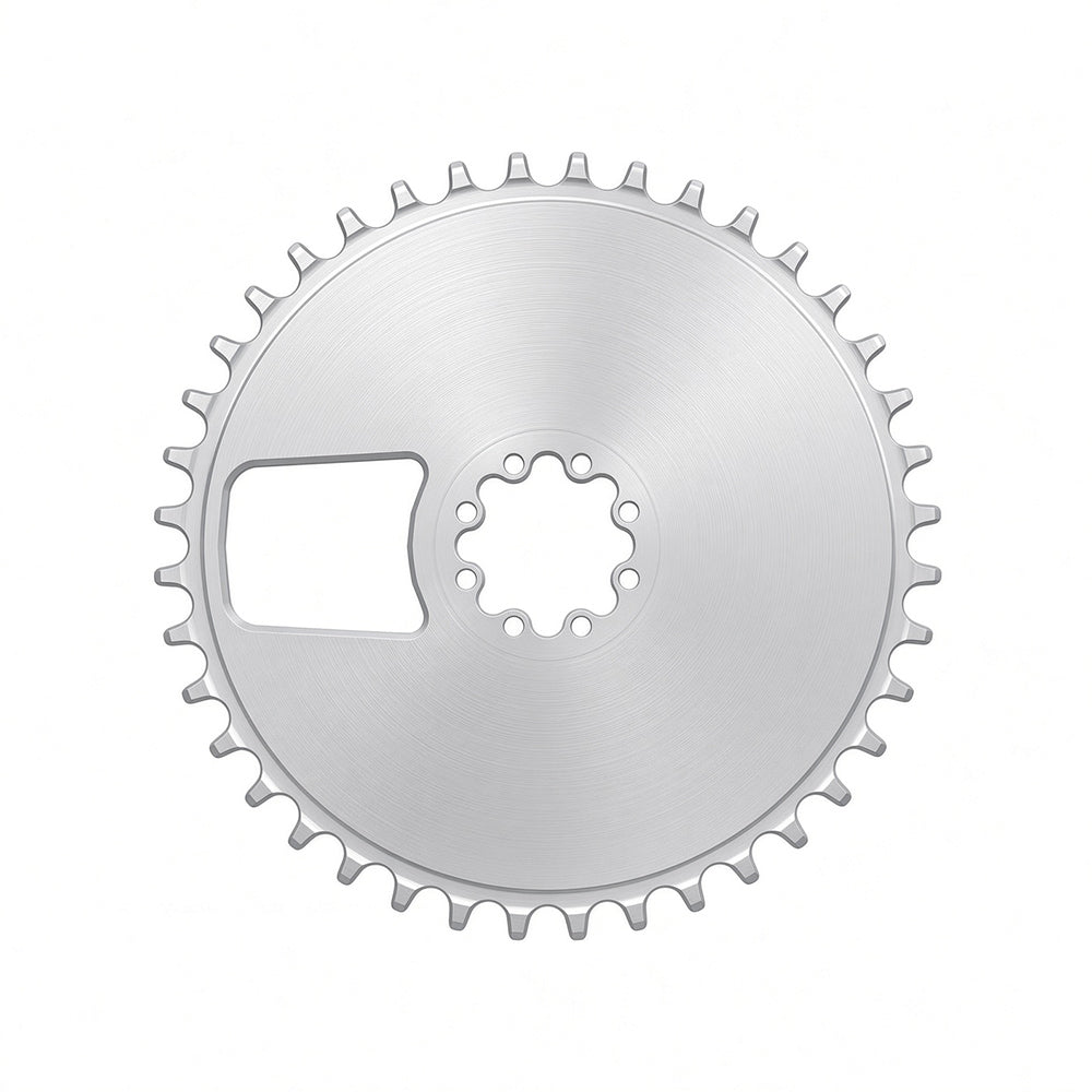 Chainring 1 "FENSTER"